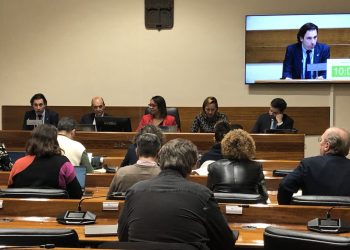 El síndico mayor durante su comparecencia en la Comisión de Hacienda y Fondos Europeos.