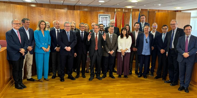 Representantes de las instituciones de control externo asistentes a la reunión en Vigo.