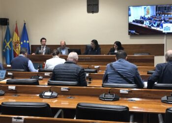 Roberto Fernández Llera durante la comparecencia en la Comisión de Hacienda, Justicia y Asuntos Europeos.